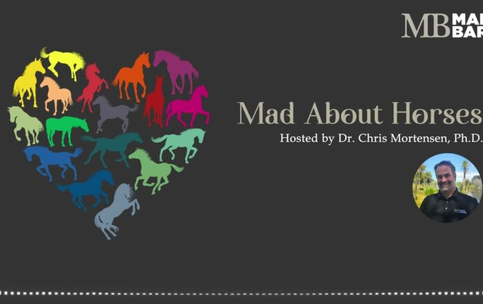 Ep. 7 – Why Are There So Many Horse Breeds – Mad About Horses – [Podcast]