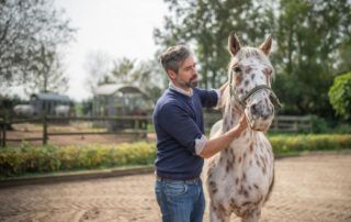 Anaplasmosis in Horses