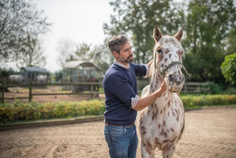 Anaplasmosis in Horses