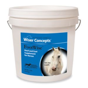 FootWise (Wiser Concepts)