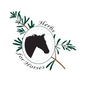 Hind Gut Health (Herbs for Horses)
