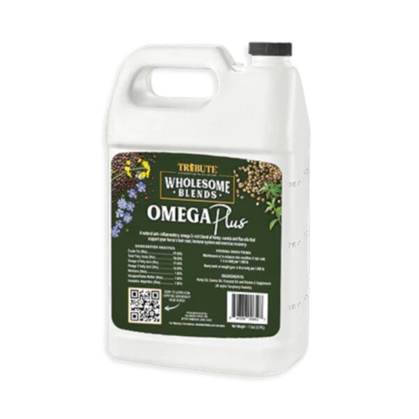 Omega Plus (Tribute)