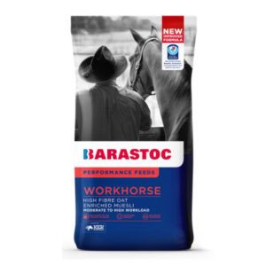 Workhorse (Barastoc)