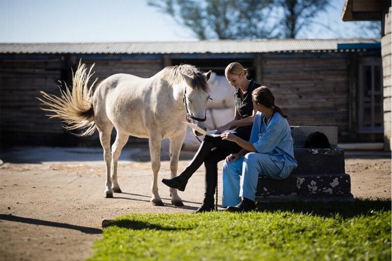 Genetic Testing for Horses
