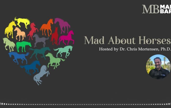Ep. 14 – Horses For Courses: English Riding Performance Breeds – Mad About Horses – [Podcast]