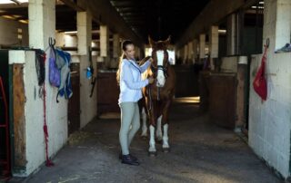 pigeon-fever-in-horses