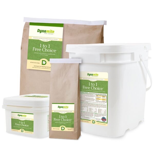 1:1 Free Choice (Dynamite)