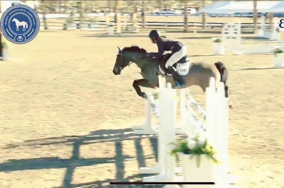 Celine - Equine Behaviourist