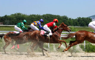 Atrial Fibrillation in Horses