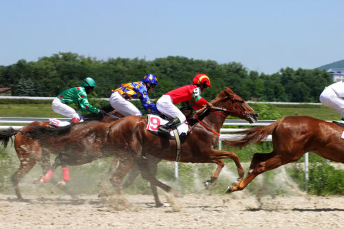 Atrial Fibrillation in Horses