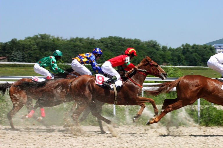 Atrial Fibrillation in Horses