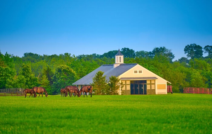 Dr Eleanor Kellon VMD - Veterinary Nutritionist