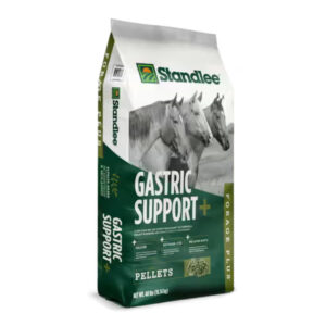 Forage Plus Gastric Support (Standlee)