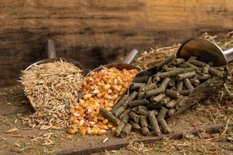 Ionophore Toxicosis in Horses