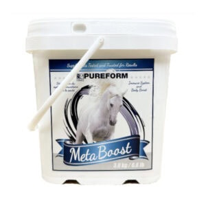 MetaBoost (Pureform)