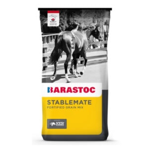 Stablemate (Barastoc)