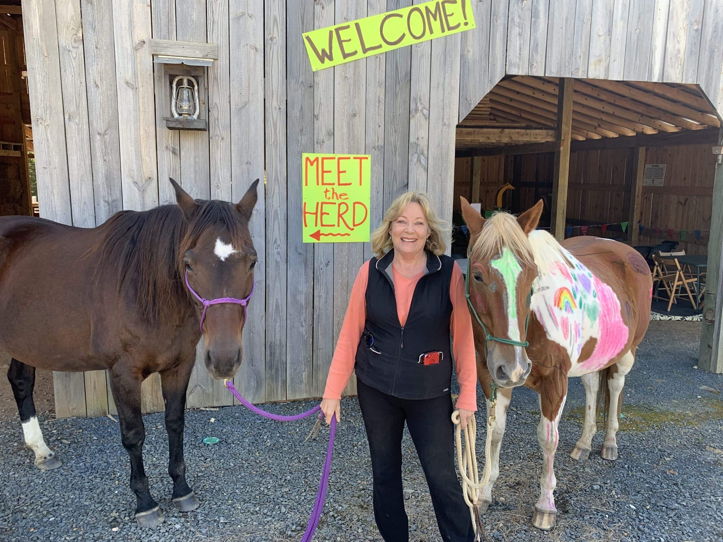 Equine Epiphany - Boarding Stable