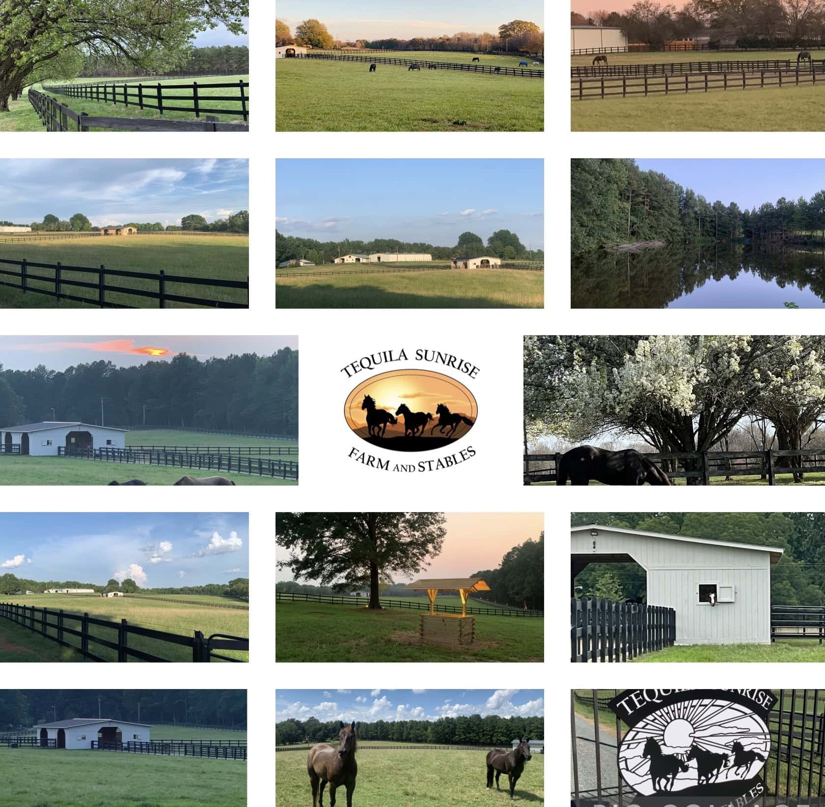 Tequila Sunrise Farm and Stables - Boarding Stable