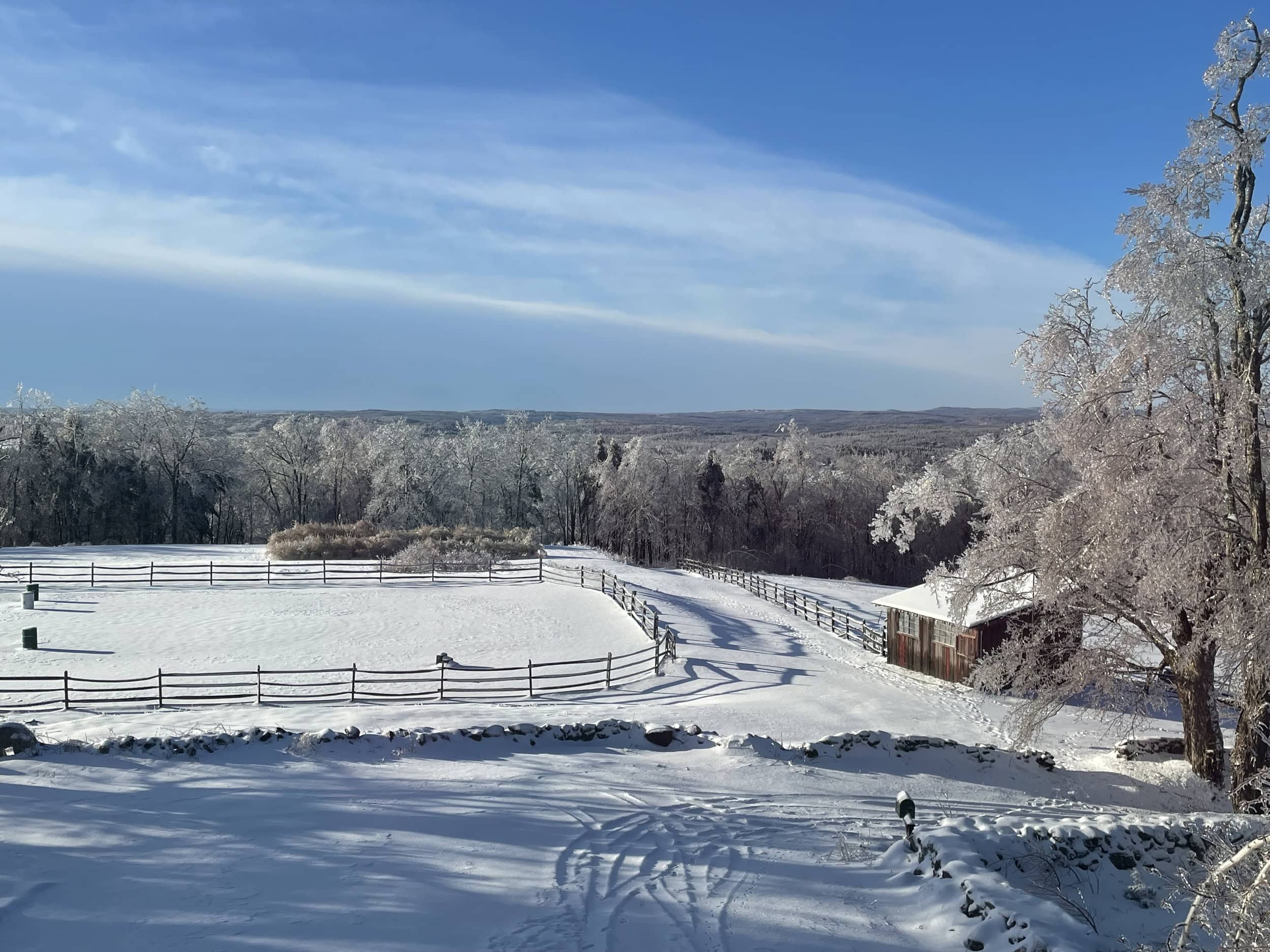 Meanwhile Farm - Equine Behaviourist