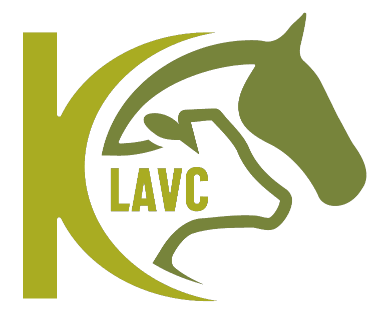 Jennifer Jackson - Equine Veterinarian