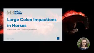 Large Colon Impactions in Horses: A Wintertime Concern – Mad Barn – Vet Talk