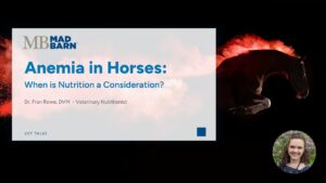 Anemia in Horses – When is Nutrition a Consideration? – [Vet Talk]