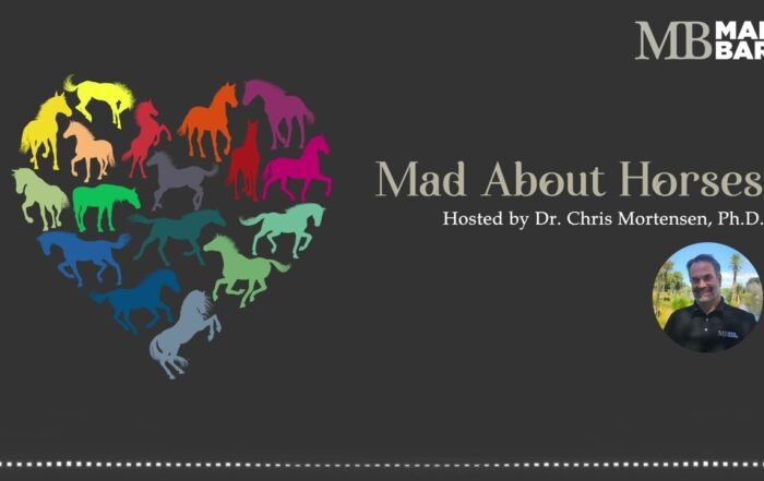 Ep. 18 – The Many Benefits of Horse Riding – Mad About Horses – [Podcast]