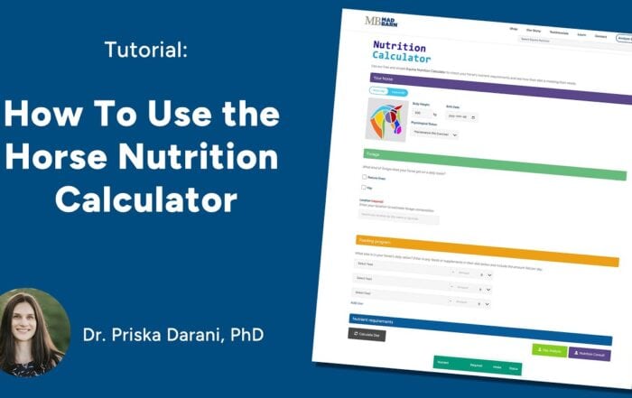 How to Use Mad Barn’s Horse Nutrition Calculator – [Tutorial]