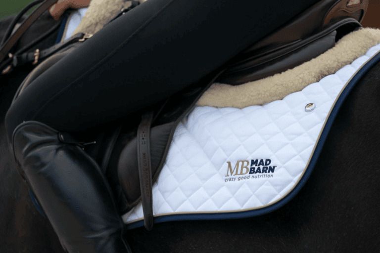 Show Jumping at the 2024 Paris Olympic Games