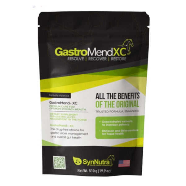 GastroMend XC (SynNutra Equine)