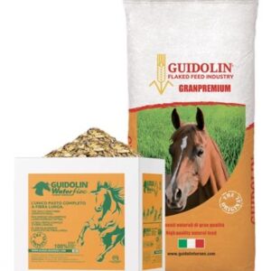 Granpremium (Guidolin)