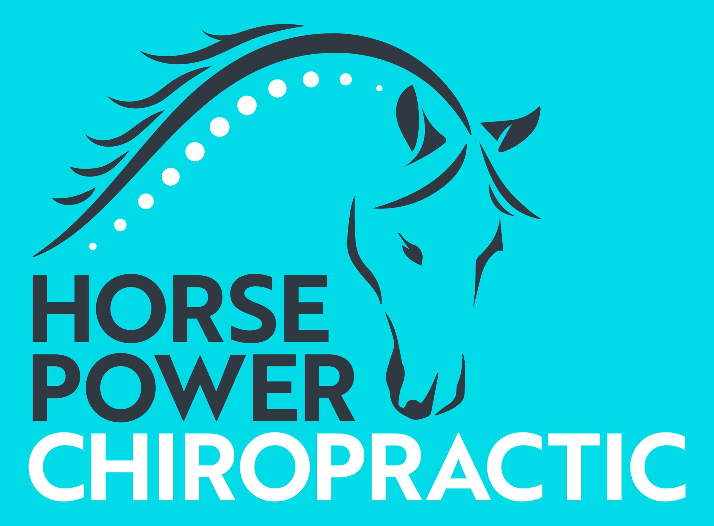 Dr. Anne Thomae - Equine Chiropractor