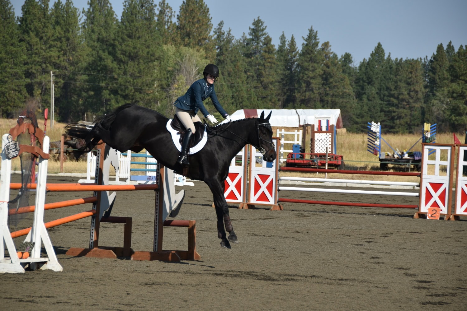 Ashleigh Rauen - Coaches & Trainers