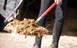 Manure Management for Horse Farms