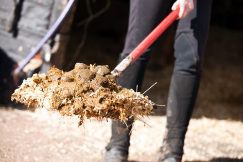 Manure Management for Horse Farms