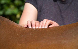 Massage Therapy for Horses