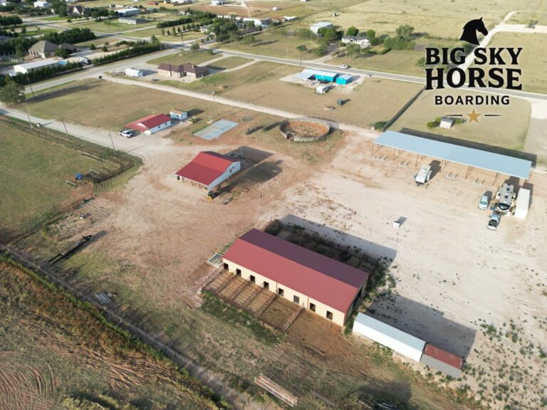 Big Sky Horse Boarding