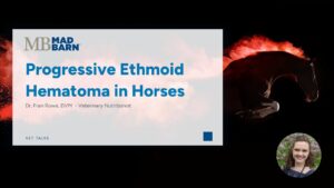 Progressive Ethmoid Hematoma in Horses – Mad Barn – Vet Talk