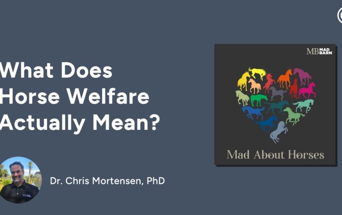 Five Domains of Horse Welfare