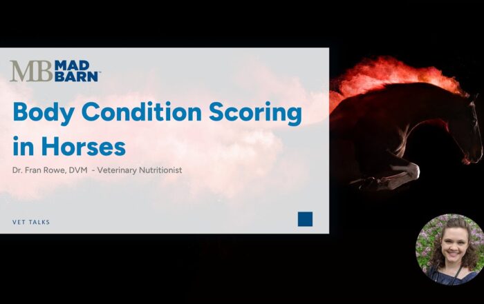 Body Condition Scoring in Horses – Mad Barn – Vet Talk