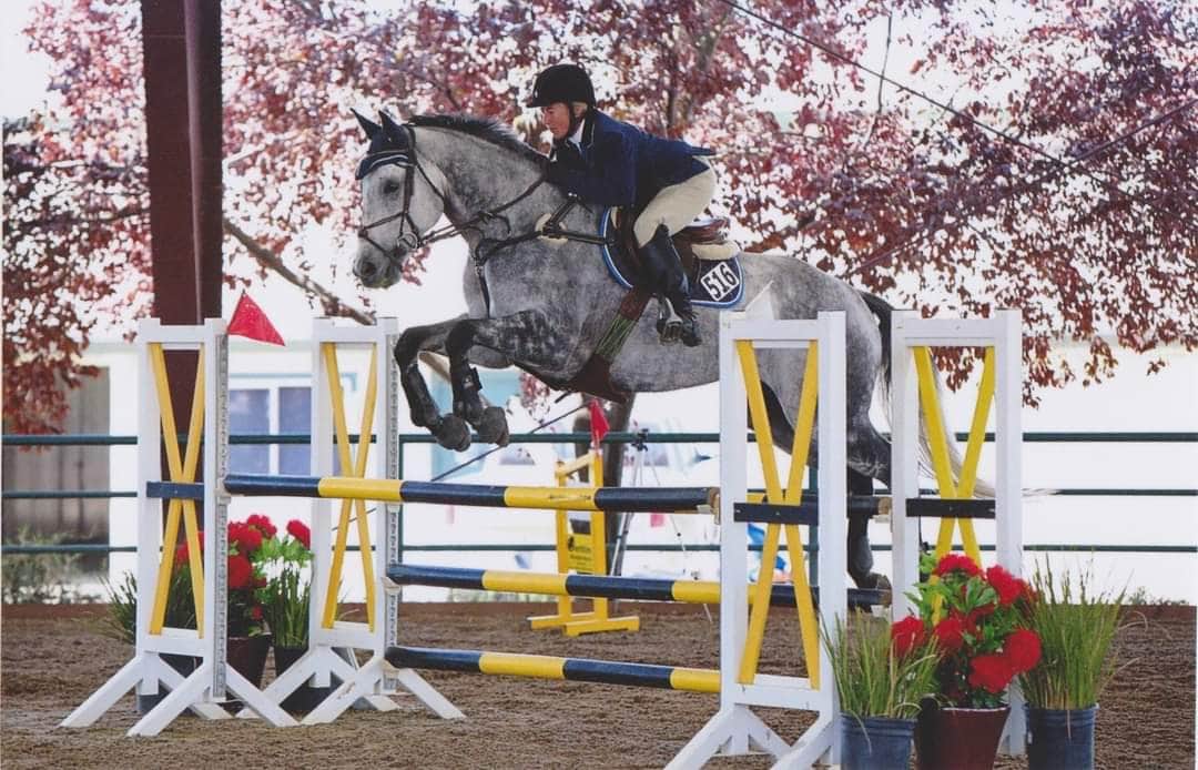 Timberline Farm - Equine Massage Therapist