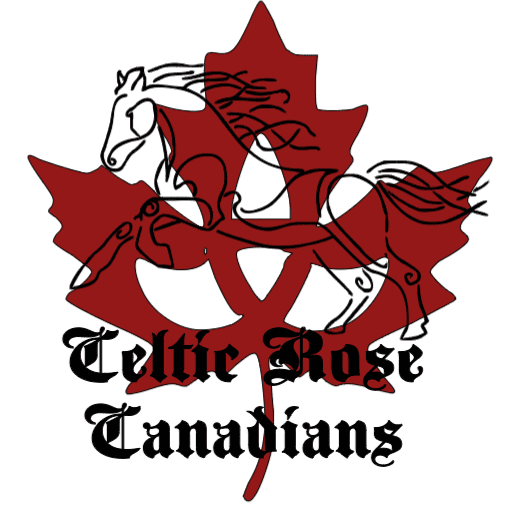 Amanda Balemans - Equine Massage Therapist