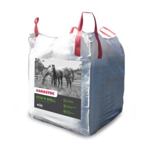 Stud N Spell (Barastoc)