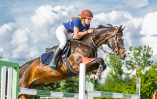 feeding-high-performance-horse