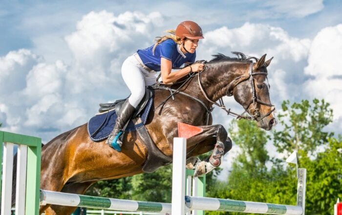 How to Feed a High Performance Horse for Training & Competition