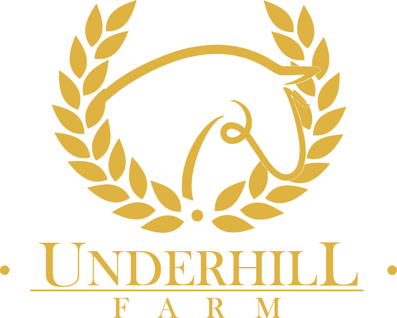 Lauren Underhill - Boarding Stable