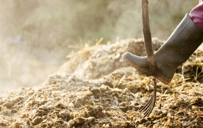 What Does Your Horse’s Manure Say About Their Health?
