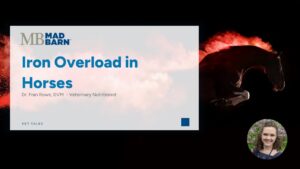 Iron Overload in Horses – Mad Barn – Vet Talk
