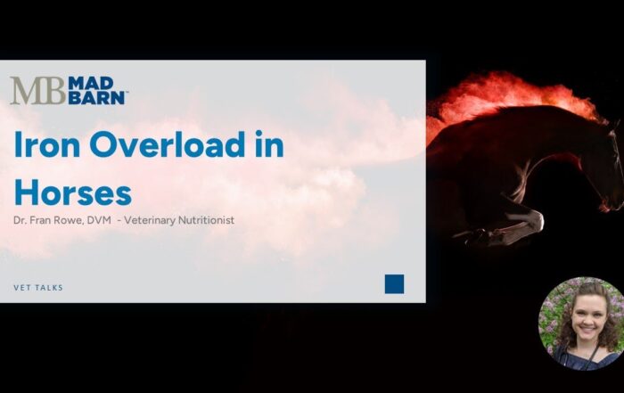 Iron Overload in Horses – Mad Barn – Vet Talk