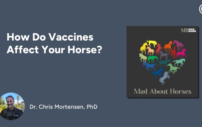 Why Vaccines Are Critical to Equine Health